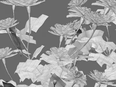 Tagetes - Marigold 3D model