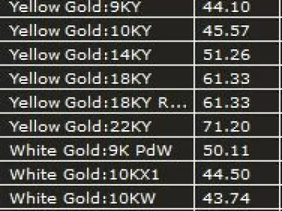 Chain C21 - 55 cm  3D print model