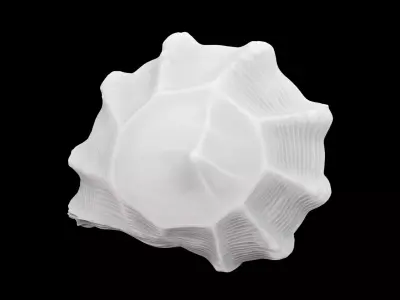 Spiral Seashell 3D print model 3D print model