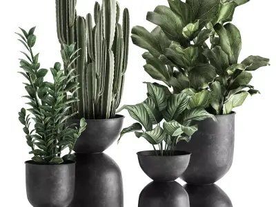 Houseplants in a pot for the interior 877 3D model
