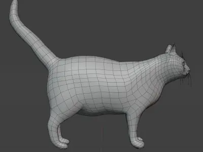Cat rigging Low-poly 3D model