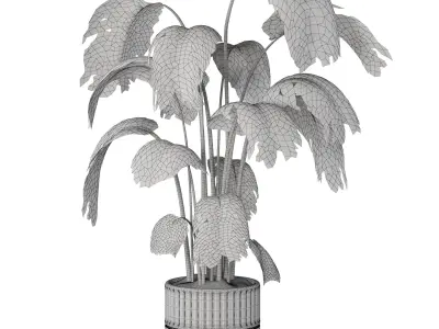 Swiss Cheese Plant In Pot 3D model