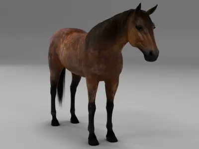Maya horse bundle  3D model