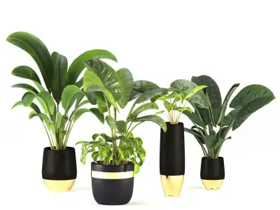 Flower pots Set 1 3D model