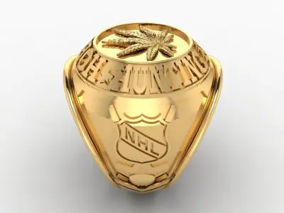 RING USA NM1 Free 3D print model