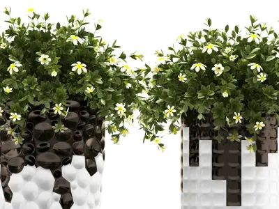 Plants 69 3D model