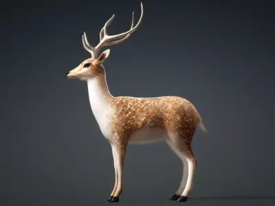 Deer-C4 3D model