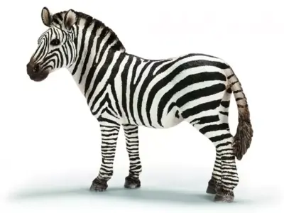 Zebra Animated 3D model 3D model
