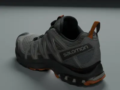 Salmonshoe063 3D model