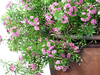 Flowerbed bouquet Oleander bush plant lilac flowers classic vase 3D model