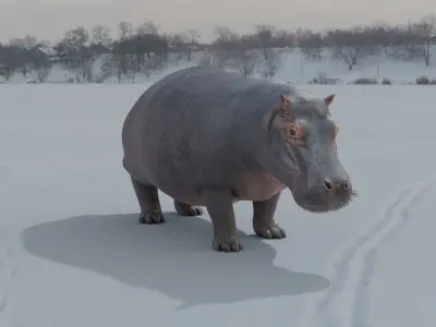 Hippo animated 3D 3D model