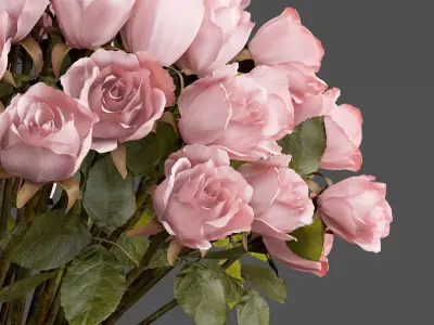 Bouquet of pink roses 3D model
