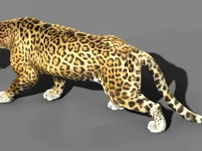 Leopard A jaguar - jaguar 3D model