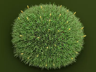 Moss V2 Low-poly 3D model