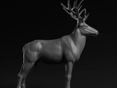 Deer - Highpoly Sculpture 3D model  3D model