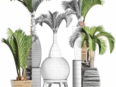 Plants Collection 206 Palms 3D model