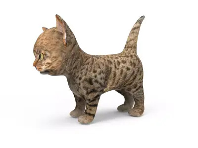 Wild  Cute cartoon Cat Rigged 3D  Low-poly 3D model