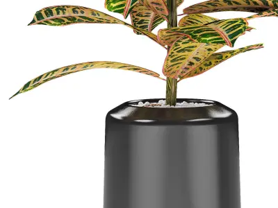 Plant in Pot Flowerpot Exotic Plant 3D model 8