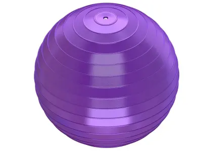 Yoga Ball Purple 3D model