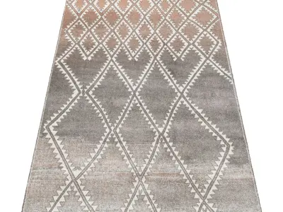 Rug Set 1249 3D model
