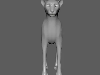 Cheetah - body with RIG 3D model