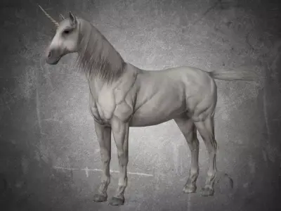 Horse - Unicorn No Gear 3D model
