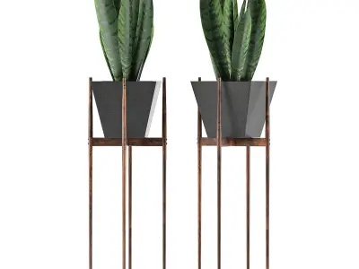 Plants Collection 99 3D model