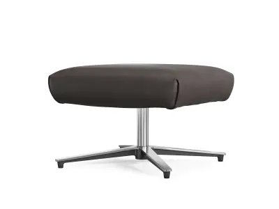 DS 149 11 Swivel Chair and DS 149 05 Footstool 3D model