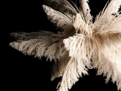 Hanging Bouquet Of Dry Reeds For Decoration 271 3D model