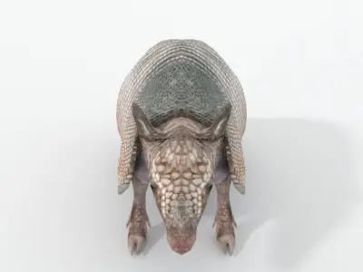 Armadillo Low-poly 3D model