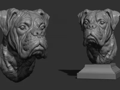 Deutscher Boxer bust 3D print model
