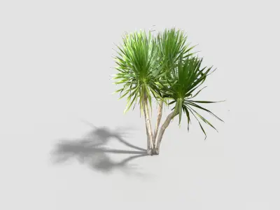 low poly tropical tree Low-poly 3D model