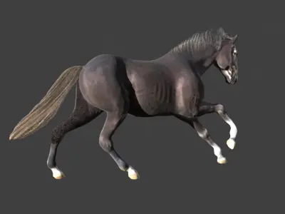 Animated Black Horse Low-poly 3D model