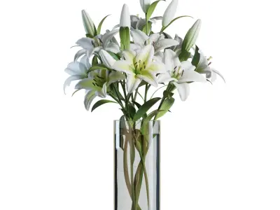Flower Set 10 - White Lilies Bouquet 3D model