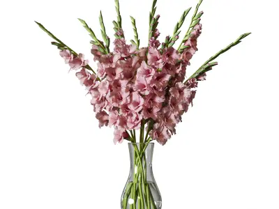 Flower Set 094 3D model