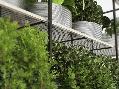 collection Indoor plants hanging pot-metal bax vase 04 Low-poly 3D model