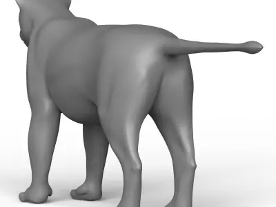 Lion Base Mesh Low-poly 3D model