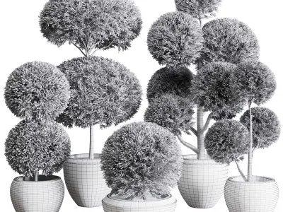 Topiary plant in an old concrete pot 3D model