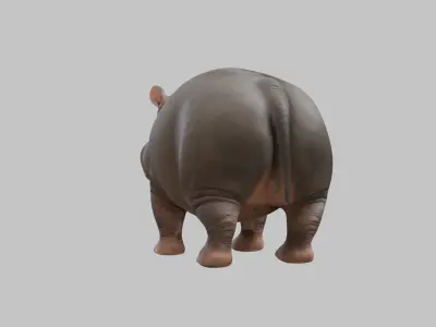 Realistic pygmy hippo Moodeng hippopotamus Low-poly 3D model