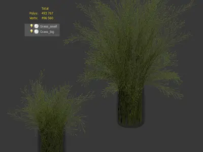 Grass in Vases 2 3D model