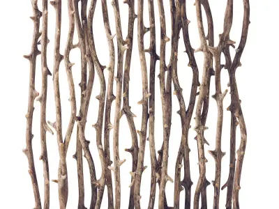 Branch old tree fundament pebble n1 3D model