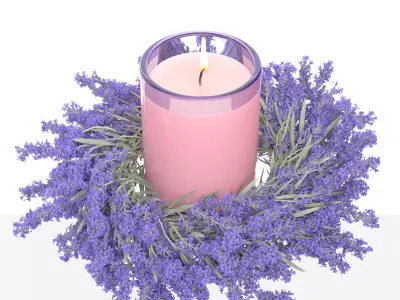 Lavender decor set 2 3D model