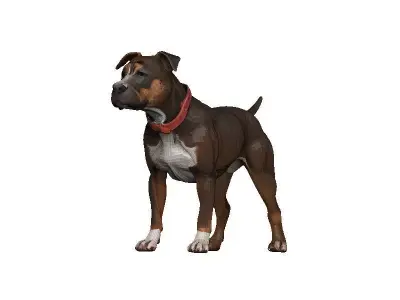 Pitbull Low-poly 3D model