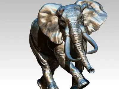 Elephant with long tusks 3D print model