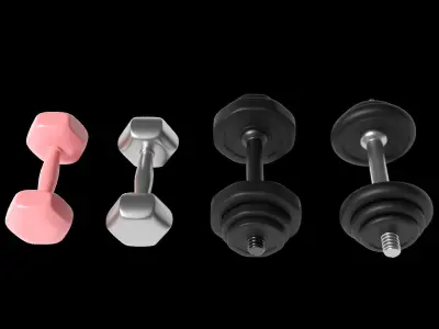 Dumbbell two silver dumbbells 3D model