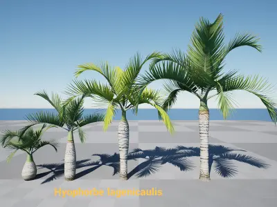 HQ Plants Volume 2 Palms for unreal engine 3D model set of 24 3D model