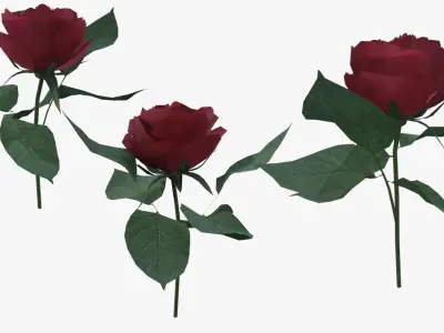 Red Rose  Low-poly textured 3d model for games Low-poly 3D model