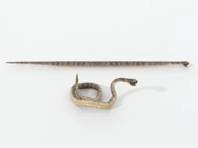Rattlesnake knife and snake Low-poly 3D model