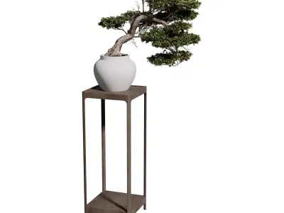 Bonsai Standing Rack 3D model