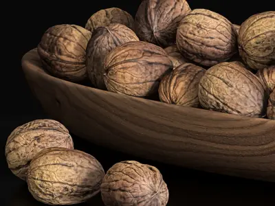 Walnut set walnuts in bowl 3D model